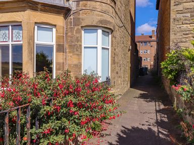 A pathway between stone buildings with windows and flower bushes on the side at Ocean View Alnmouth