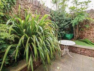 An outdoor patio area with a white metal table large leafy plants stone wall and small grass area at Archie's Minehead