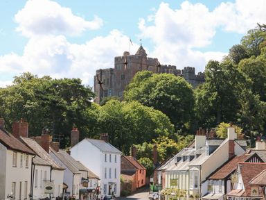 A street with houses and shops with a castle on a hill surrounded by trees at Archie's in Minehead