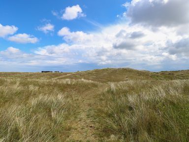 A grassy path through sand dunes with buildings in the distance and a partly cloudy sky at Beach House in Winterton-On-Sea
