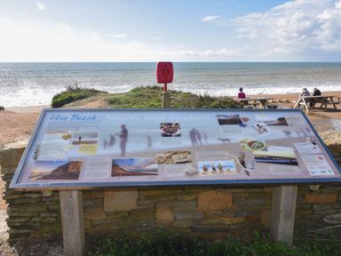 An informational board about Hive Beach with the sea and people sitting at picnic tables in the background at Old Ropemakers Cottage in Bridport