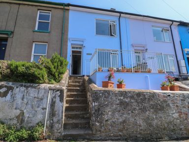 A row of houses with stone steps leading to a blue house with potted plants on a raised patio at Fishnets in Brixham