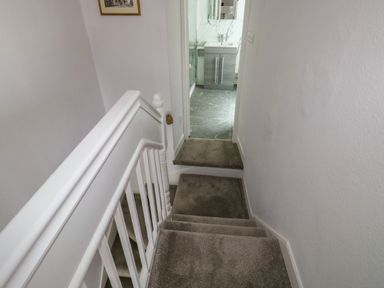 A carpeted staircase with white railing leading up to a bathroom with tiled floor and sink at Fishnets in Brixham