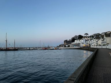 A harbor with boats docked near a waterfront promenade and buildings on a hill at Fishnets in Brixham