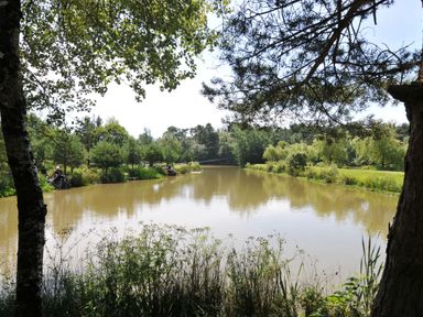 A pond surrounded by trees and plants at Silver Birch in Dolton