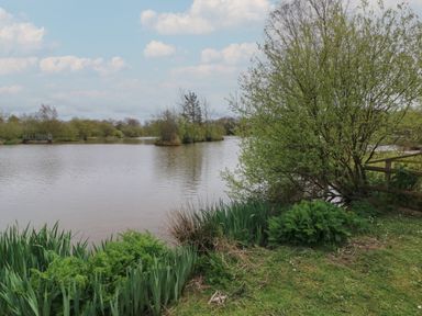 A lake with surrounding trees and plants next to a grassy area at Cherry in Dolton