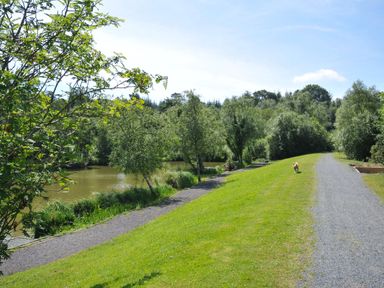 A walking path by a pond with trees surrounding at Cherry in Dolton