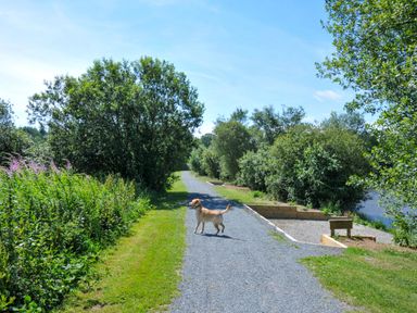 A path with a dog and trees beside a water body at Cherry in Dolton