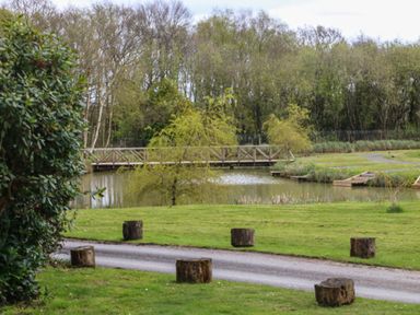 A gravel path lined with tree stump seats near a pond with a wooden bridge and trees at Aspen in Dolton