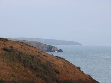 A coastal view with cliffs and sea with birds flying above at Tir Glyn Caravan in Uwch Mynydd near Aberdaron