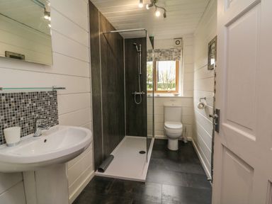 A bathroom with a sink a shower area and a toilet at Cedar in Dolton