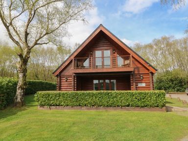 A wooden cabin with a balcony and green hedges in front at Willow in Dolton