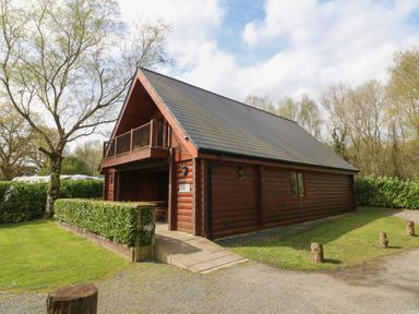 A wooden cabin with a balcony and hedges in a green area at Willow in Dolton