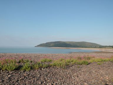 A beach with rocks and flowers along the shore at Willow in Dolton