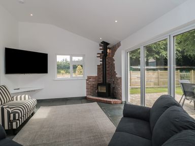 A living room with a TV on the wall a striped armchair a black sofa a brick fireplace and large sliding glass doors at Primrose Cottage in Brendon Hill near Roadwater