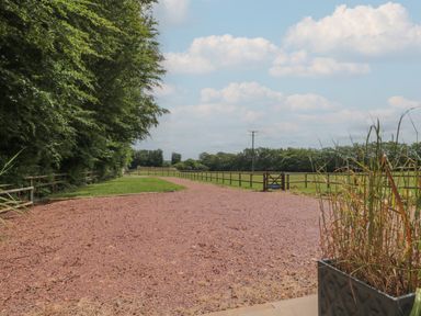 A gravel driveway between fenced grassy fields with trees on one side and a planter with tall grass near Primrose Cottage Brendon Hill near Roadwater