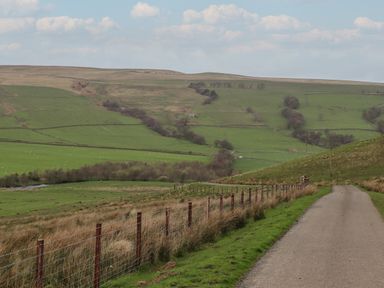 A rural road running alongside a wire fence with green fields and hills in the background at Cragg Lodge in West Woodburn