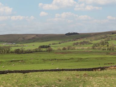 A rural landscape with green fields sheep stone fences and hills in the background at Cragg Lodge in West Woodburn