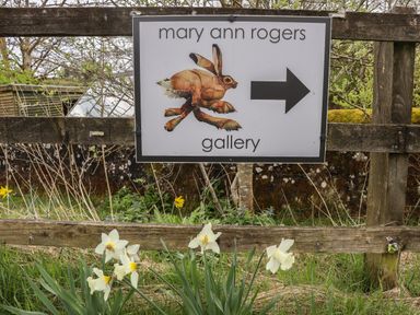 A wooden fence with a sign showing a painted hare and right arrow beside daffodils at Mary Ann Rogers Gallery in West Woodburn