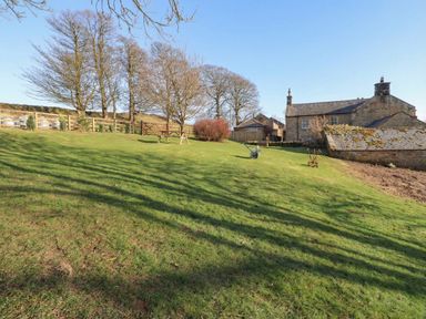 An outdoor scene with grass and trees at Cragg Lodge West Woodburn
