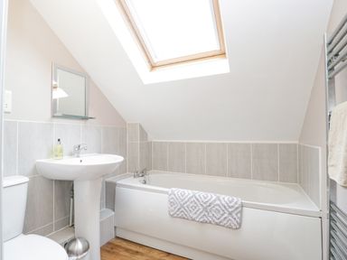 A bathroom with a bathtub a sink a toilet a skylight and a heated towel rail at The Brambles in Monmouth