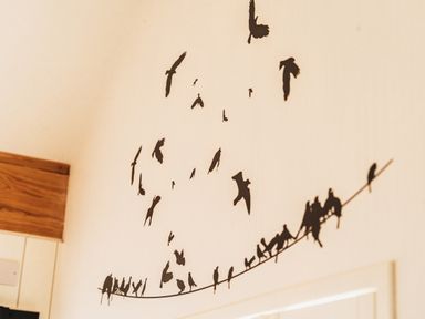 A wall with bird decals at Glanllyn Bach in Llanfaelog