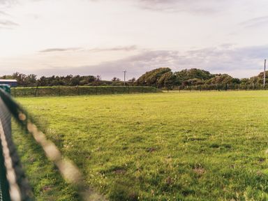 An outdoor field with grass and trees at Glanllyn Bach in Llanfaelog