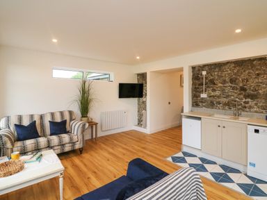 A living room with sofas a coffee table a small kitchen area and a mounted television at The Farm Cottage in Athy County Kildare
