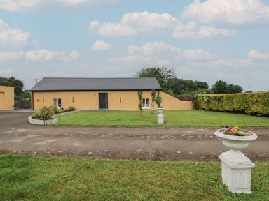 A yellow cottage with a gray roof in the background with lawn and white flower pots at The Farm Cottage in Athy County Kildare