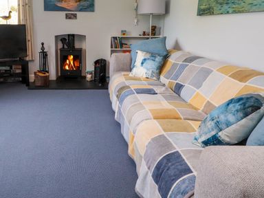 A living room with a sofa covered by a checkered blanket next to a fire stove and a television at Bryn Tirion in Morfa Nefyn