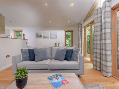A living room with a grey sofa cushions a coffee table with a book a plant large windows with plaid curtains at 10 Stonerush Valley in Lanreath near Looe