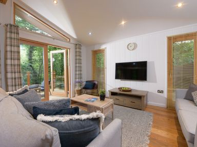 A living room with sofas cushions a coffee table and a wall mounted TV at 10 Stonerush Valley Lanreath near Looe