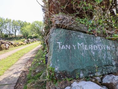 A dirt path lined with rocks and trees next to a green stone with the words Tan Y Merddyn near Llanrug