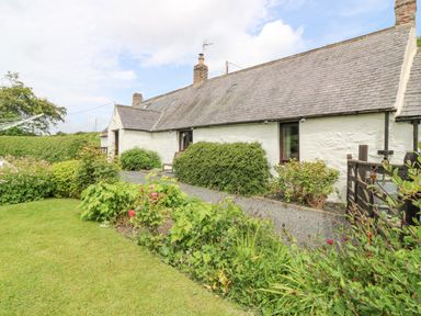 A garden with shrubs and flowers in front of a long white stone house with a slate roof at Loanview in Cornhill-On-Tweed