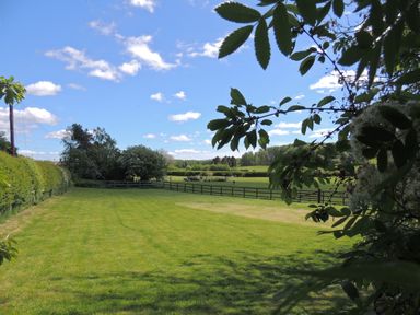 A green lawn with hedges and trees under a blue sky at Loanview in Cornhill-On-Tweed