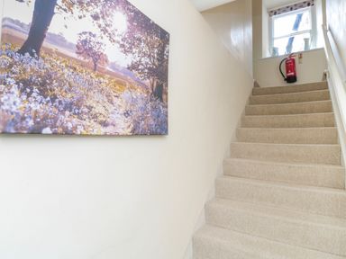 A carpeted staircase with a fire extinguisher near a window and a large landscape picture on the wall at White Swan Cottage in Alnwick