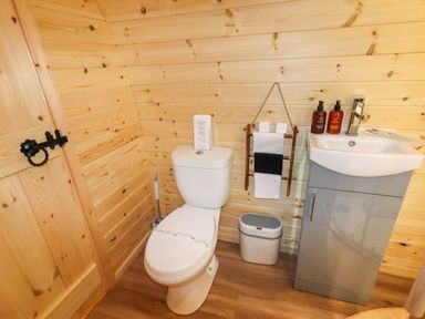 A bathroom with a toilet a sink with bottles a small trash bin and a towel rack at Moel Famau in Bryniau Clwyd near Denbigh