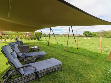 Outdoor seating area with lounge chairs and canopy overlooking a fenced green field with sheep at Moel Famau in Bryniau Clwyd near Denbigh