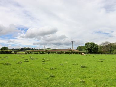 A green field with scattered clumps of vegetation sheep trees hedge and utility poles under a cloudy sky at Moel Famau Bryniau Clwyd near Denbigh