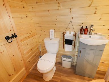 A bathroom with a toilet a small sink with a cabinet towels and wooden walls at Moel Arthur in Bryniau Clwyd near Denbigh