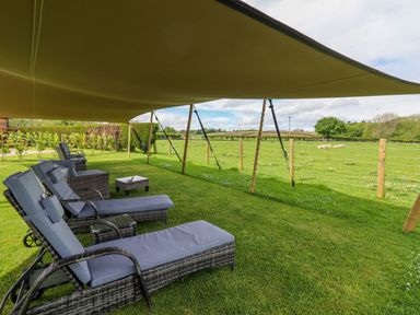 An outdoor patio area with reclining chairs and a small table under a canopy next to a fenced green field with sheep at Moel Arthur Bryniau Clwyd near Denbigh