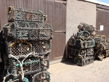 Stacks of lobster pots outside brown wooden doors at Greenlee House in Seahouses