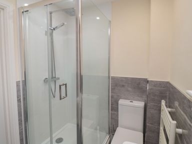 A bathroom with a glass shower enclosure a toilet and a towel radiator at Greenlee House in Seahouses