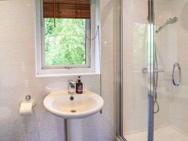 A bathroom with a pedestal sink, liquid soap bottle, toilet paper holder, window with a bamboo blind, and a glass-enclosed shower at The Blacktail in Llanerch Park near St Asaph