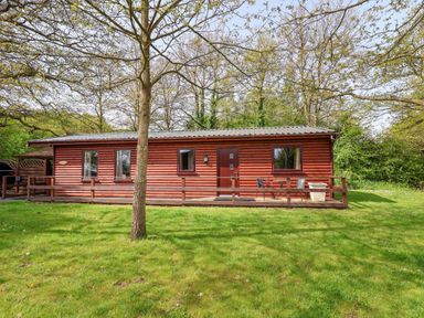 A wooden cabin with a porch and outdoor chairs on a grassy area with trees at The Blacktail in Llanerch Park near St Asaph