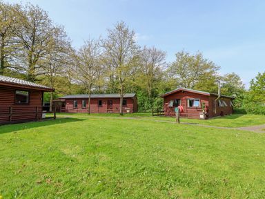A grassy area with three wooden cabins and trees in the background at The Blacktail in Llanerch Park near St Asaph