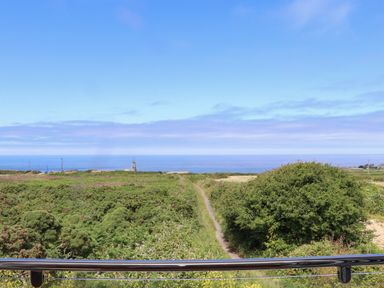 A pathway through green bushes leading to the sea with a metal railing in the foreground at Victory View in Pendeen