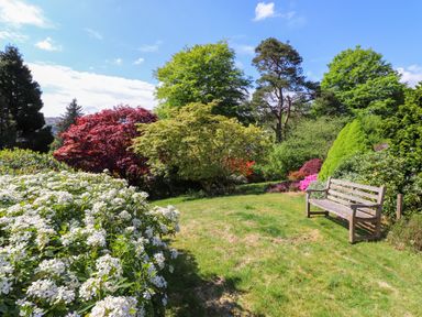 A garden with a wooden bench surrounded by various trees and bushes at Sweden Bridge Cottage in Ambleside