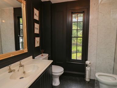 A bathroom with a sink countertop a toilet paintings on the wall and a window overlooking greenery at Llwynderw Hall in Abergwesyn near Llanwrtyd Wells