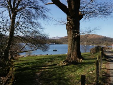 A view of a lake with a tree and a road at 5 Thornbarrow Road 